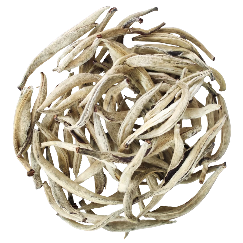 White Silver Needle